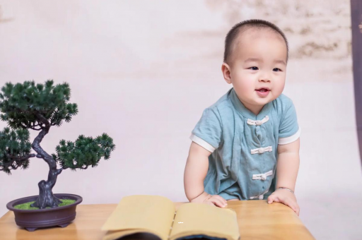 兰考可爱的企鹅宝宝